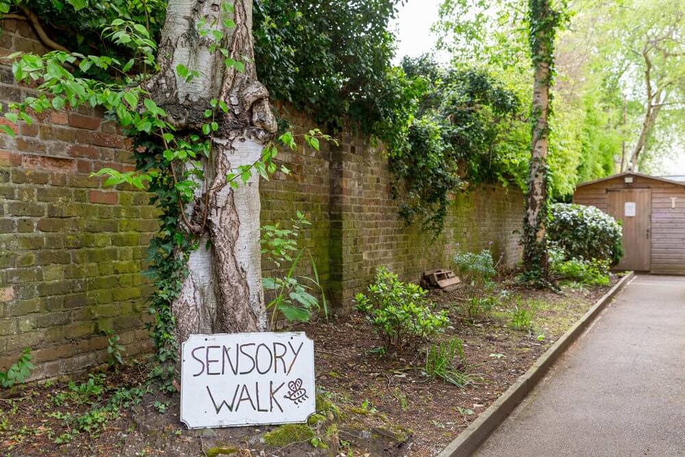 Amberley Lodge - Amberley Lodge garden 
