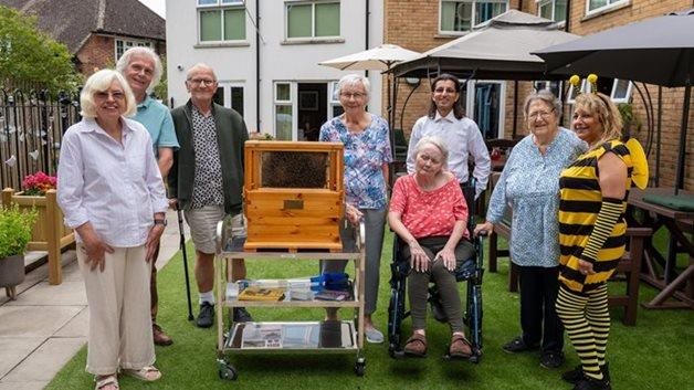 Kingston Vale care home learn more about our pollinators