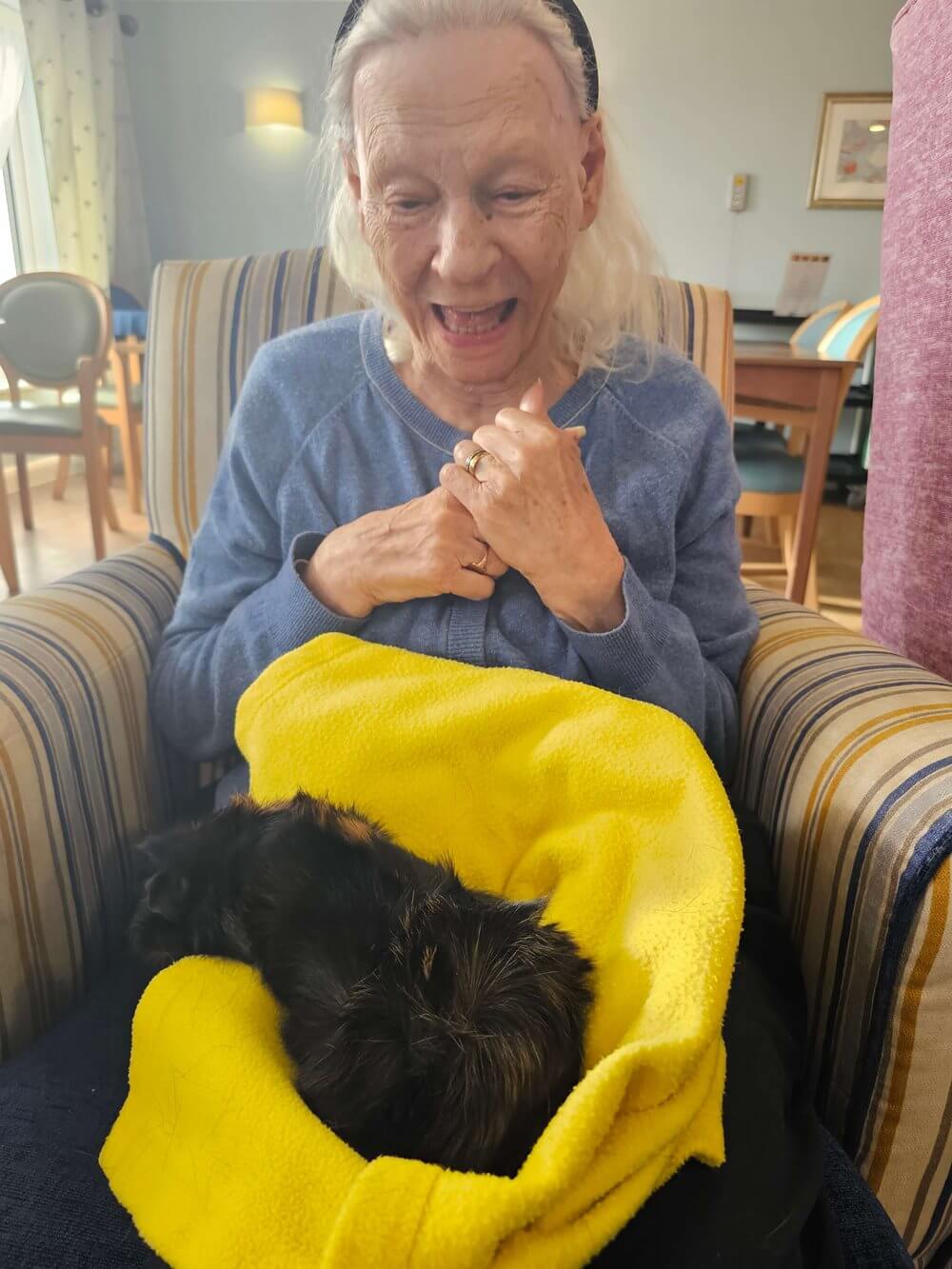 Cavell Court - Cavell Court animal visit