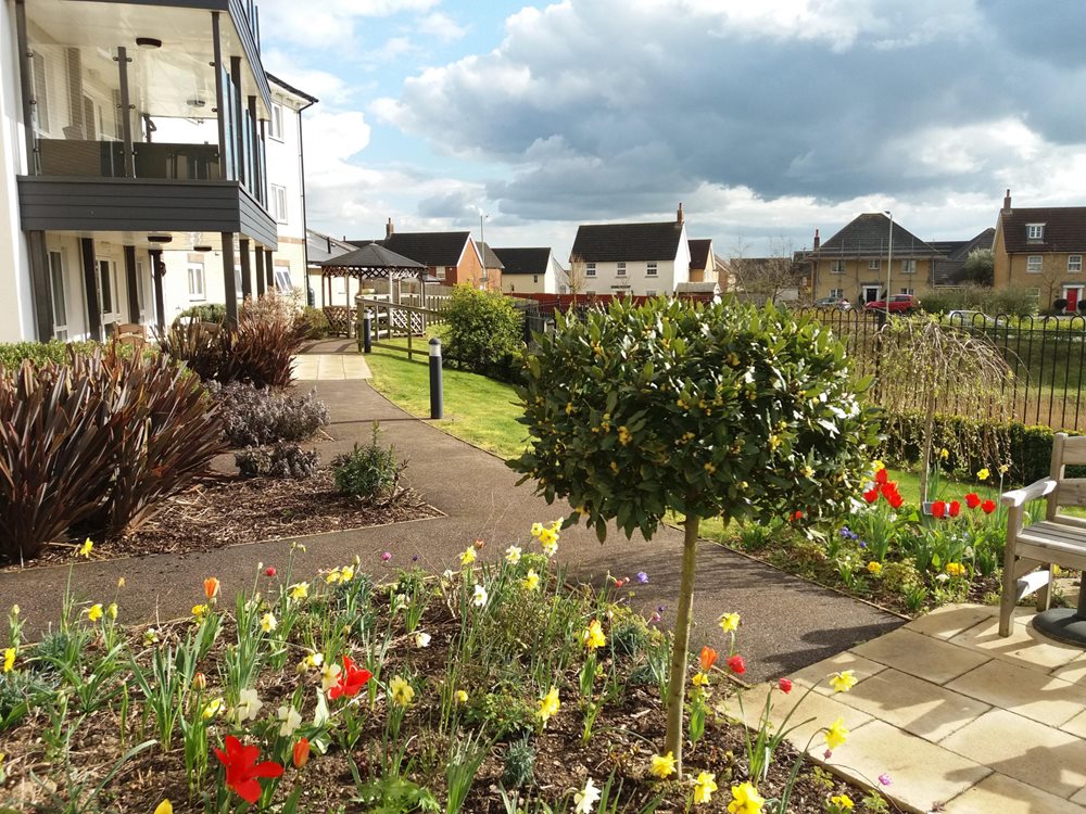 Cedrus House - cedrus-garden-low-res_1 image