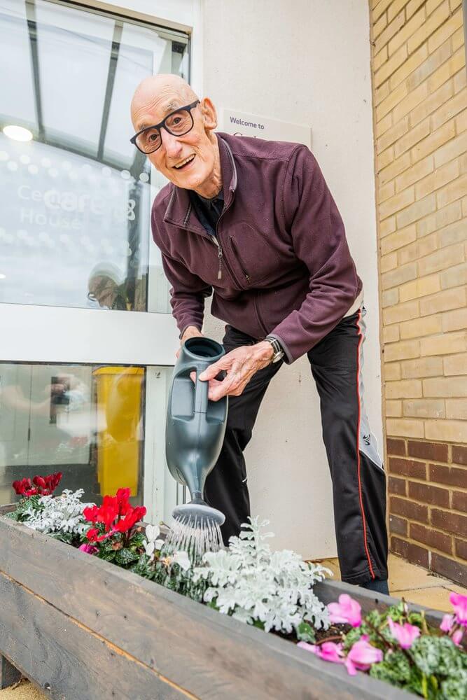 Cedrus House - cedrus lifestyle 