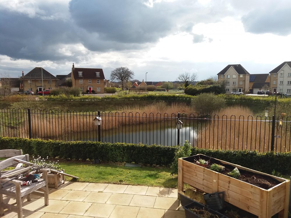 Cedrus House - cedrus-pond-low-res_1 image