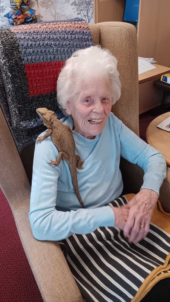 Cheviot Court - Cheviot Court animal visit