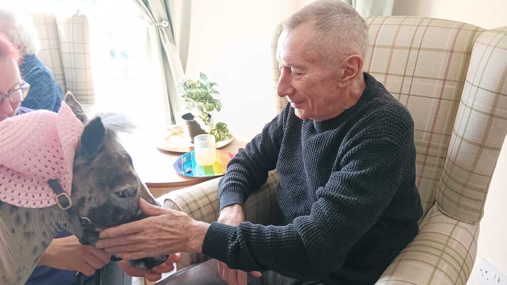 Cheviot Court - Cheviot Court animal visit