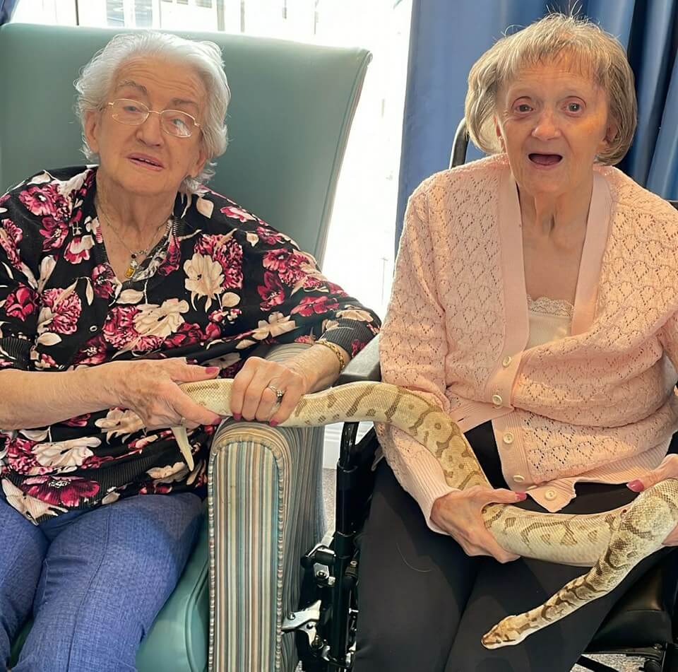 Cheviot Court - Cheviot Court animal visit