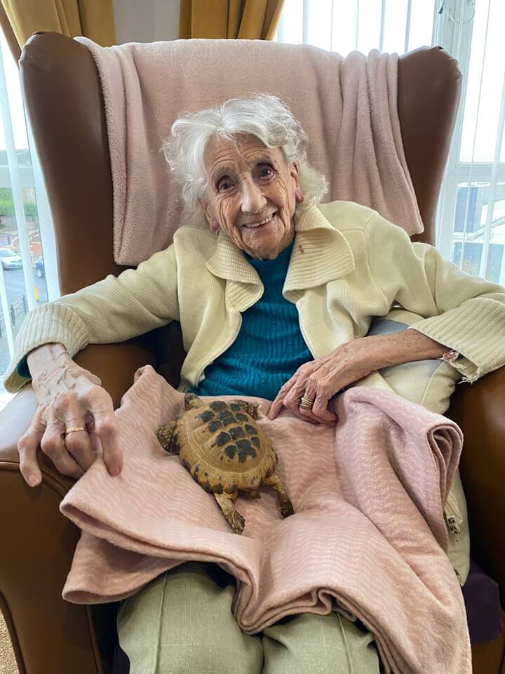 Cheviot Court - cheviot court animal visit