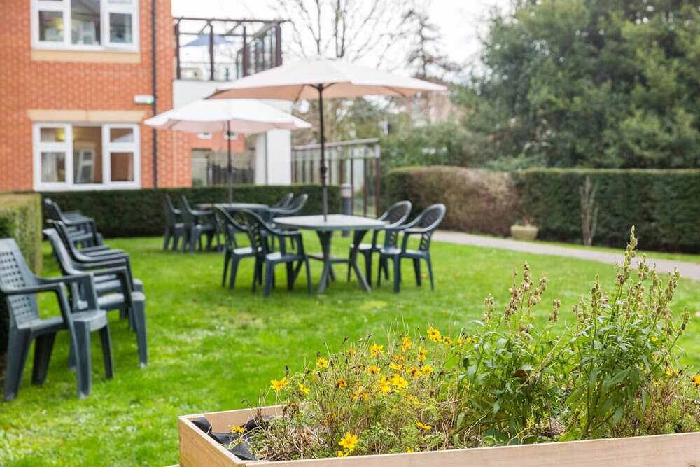 Clara Court - Clara Court garden