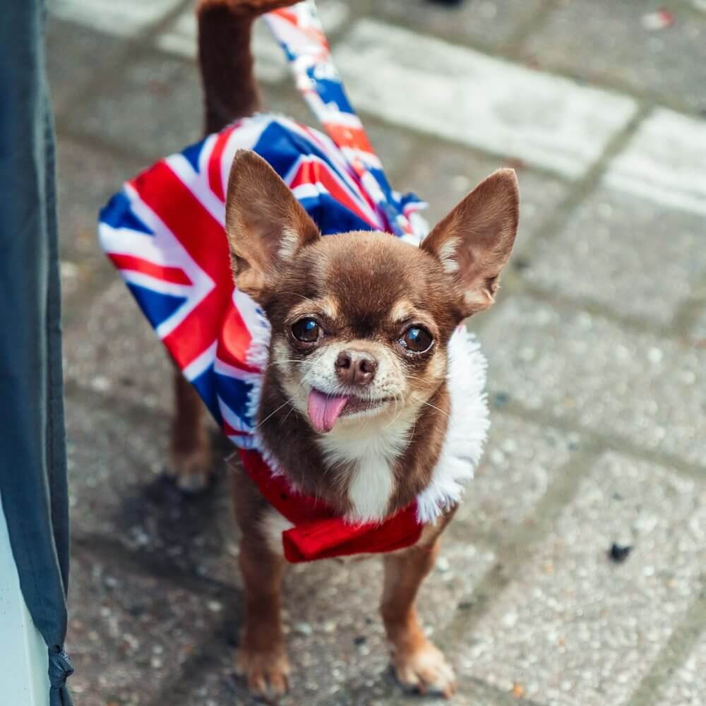VE day celebrations at Colne View