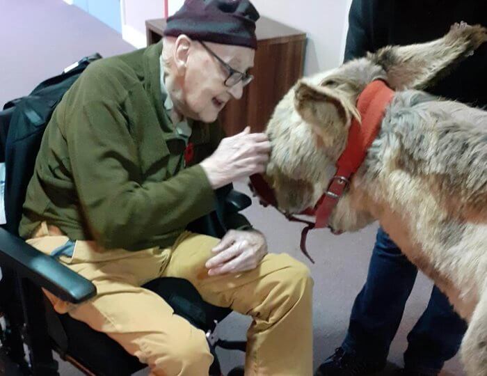 Harry, who used to raise donkeys, was given the opportunity to pet a donkey from Second Chance Petting Farm.